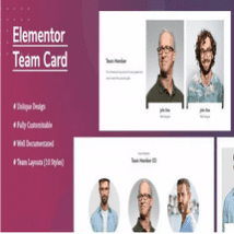 افزونه Elementor Team Card برای المنتور
