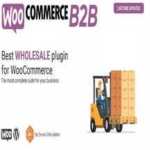 افزونه WooCommerce B2B by code4lifeitalia