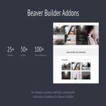 افزونه Addons for Beaver Builder Pro محصول Livemesh Themes