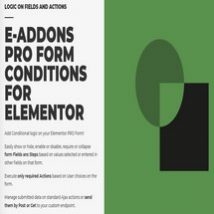 افزونه E-Addons PRO FORM CONDITIONS برای المنتور