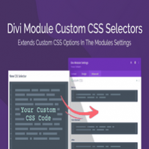 افزونه Divi Module Custom CSS Selectors