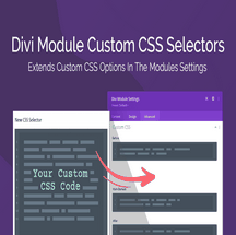 افزونه Divi Module Custom CSS Selectors