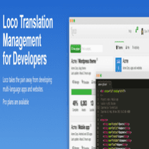 افزونه Loco Translate Pro برای وردپرس