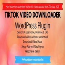 افزونه TikTok Video Downloader without Watermark برای وردپرس