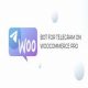 افزونه Bot for Telegram on WooCommerce PRO
