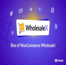 افزونه WholesaleX Pro برای وردپرس