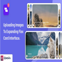 دانلود افزونه Wiloke Expanding Flex Cards برای المنتور