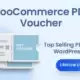 افزونه WooCommerce PDF Vouchers برای وردپرس