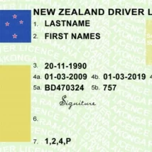دانلود گواهینامه رانندگی لایه باز(psd) نیوزیلند به همراه قبض برق