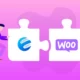دانلود افزونه WP ERP WooCommerce Integration