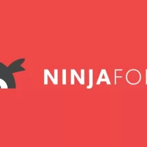 مجموعه ادآن های Ninja Forms Pro همراه افزودنی ها