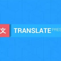 افزونه TranslatePress Pro برای وردپرس