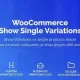 افزونه WooCommerce Show Variations as Single Products