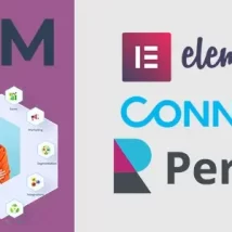 ادآن Elementor Forms Perfex CRM Integration