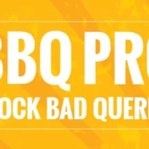 افزونه BBQ Pro برای وردپرس