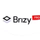 افزونه Brizy Pro برای وردپرس