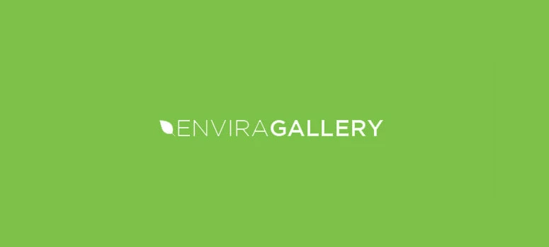 افزونه انویرا گالری Envira Gallery pro برای وردپرس
