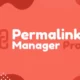 افزونه پرملینک منیجر پرو Permalink Manager Pro برای وردپرس