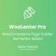 افزونه ShopLentor WooLentor Pro برای المنتور