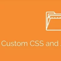 افزونه Simple Custom CSS and JS PRO برای وردپرس