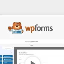 افزونه WPForms Pro برای وردپرس