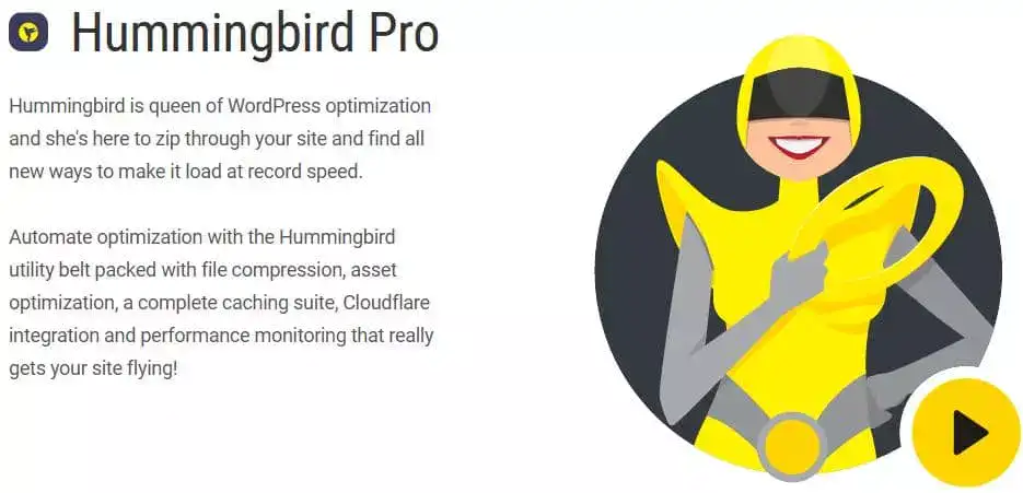 افزونه WPMU DEV Hummingbird Pro برای وردپرس