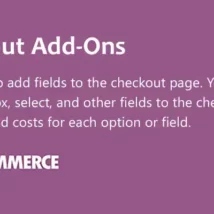 افزونه WooCommerce Checkout Add-Ons