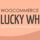 افزونه فارسی WooCommerce Lucky Wheel