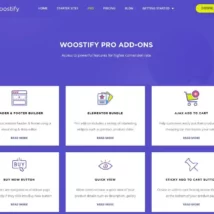 قالب Woostify Pro برای وردپرس