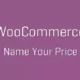 افزونه WooCommerce Name Your Price