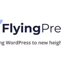 افزونه FlyingPress برای وردپرس