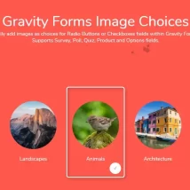 افزونه Gravity Forms Image Choices