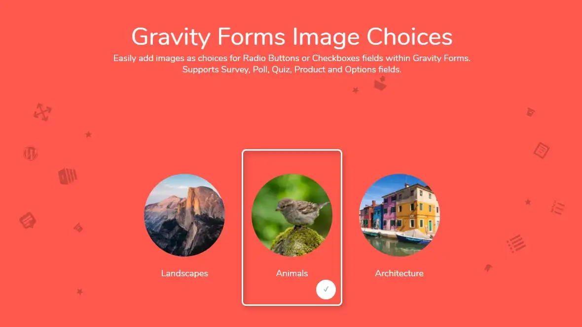 افزونه Gravity Forms Image Choices