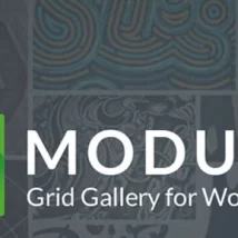 افزونه Modula Pro برای وردپرس