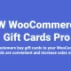 افزونه PW WooCommerce Gift Cards Pro برای وردپرس