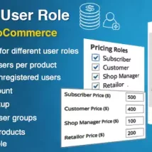 افزونه Prices By User Role for WooCommerce