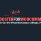 افزونه Booster Plus for WooCommerce