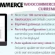 افزونه WooCommerce Multiple Currencies