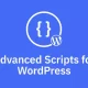 افزونه Advanced Scripts برای وردپرس