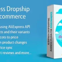 افزونه AliExpress Dropshipping Business برای وردپرس