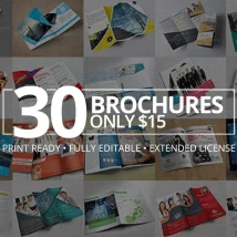 پک ۳۰ عددی طرح لایه باز بروشور ۳۰ Creative Brochures Bundle