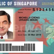 دانلود گواهینامه لایه باز psd کشور سنگاپور