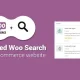 دانلود افزونه Advanced Woo Search Pro برای وردپرس