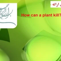 دانلود پاورپوینت How can a plant kill