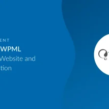 دانلود افزونه WPML WPFORMS MULTILINGUAL ADDON