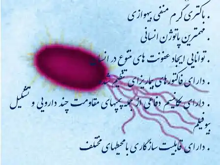 دانلود پاورپوینت بررسی اثر عصاره های آبی و الکلی