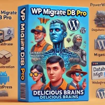 انتقال دیتابیس وردپرس آسان و سریع با افزونه WP Migrate DB Pro