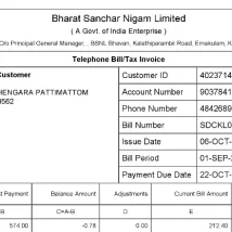 قبض تلفن BSNL هند PDF برای وریفای کیف پول، صرافی و فرم KYC