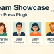 افزونه Team Showcase نمایش حرفه‌ای اعضای تیم در سایت وردپرس