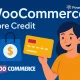 افزونه WooCommerce Store Credit افزایش فروش با اعتبار داخلی مشتری افزونه WooCommerce Store Credit افزایش فروش با اعتبار داخلی مشتری